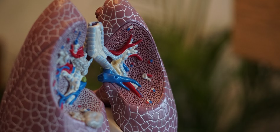 Janssen lanza un nuevo espacio dedicado al cáncer de pulmón