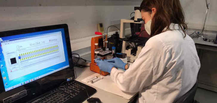 Laboratorio de RheoDx RheoDx, a la caza de un millón de euros para acelerar en el diagnóstico de la sangre