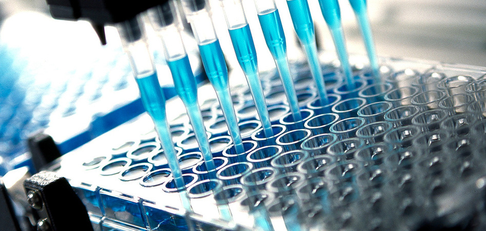 Arthex Biotech capta 11 millones de euros para avanzar contra la distrofia muscular