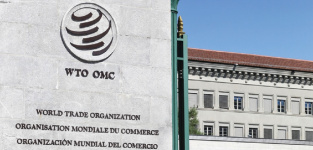 La OMC estudia medidas para frenar las políticas proteccionistas de Estados Unidos