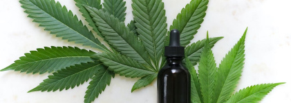 Sanidad empieza 2024 revisando la regulación del cannabis como medicamento