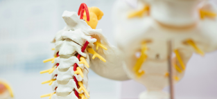 El Hospital Universitario Vall d’Hebron colabora con los pacientes con lesiones medulares