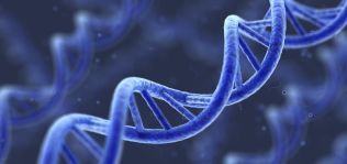 Un ex Goldman gestionará el primer fondo biotecnológico de España