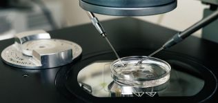 Del IVI a Tambre: los referentes de la reproducción asistida