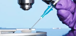 NL Holding, a por IVI: inversión de 120 millones más en 2018 con España en el radar