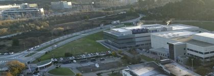 Boehringer Ingelheim se al&iacute;a con el MIT y Harvard: 125 millones para la salud mental