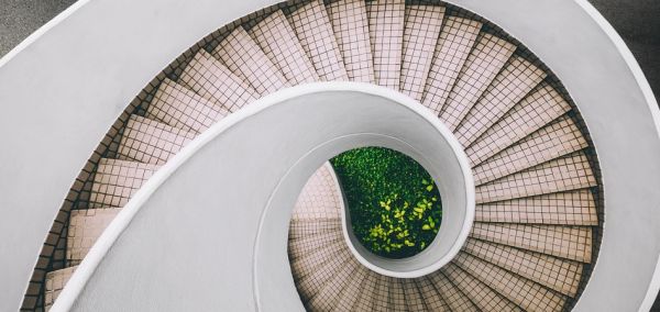 2019: Doce meses en el negocio de la salud